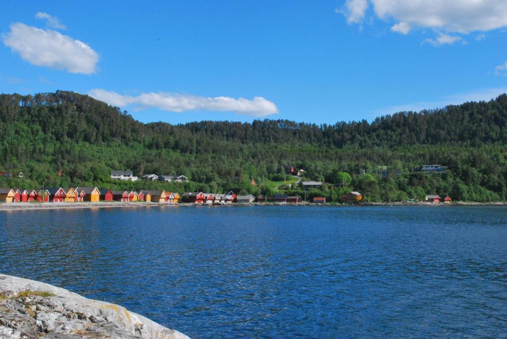 Sjoholt Camping Extérieur photo