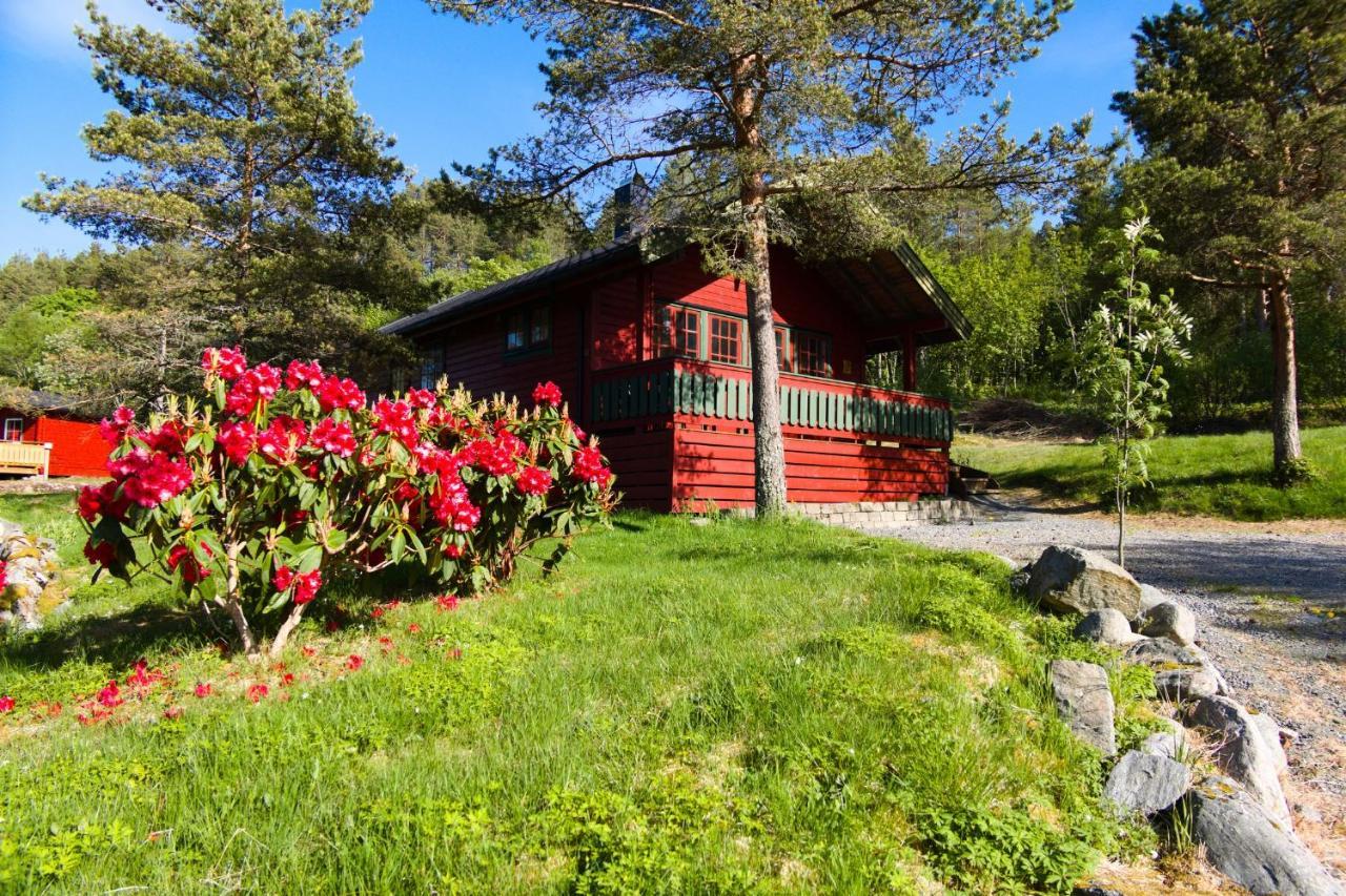 Sjoholt Camping Extérieur photo